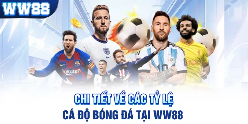 Chi tiết về các tỷ lệ cá độ bóng đá tại WW88