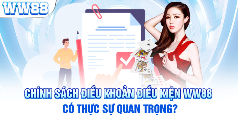 Chính sách điều khoản điều kiện WW88 có thực sự quan trọng?