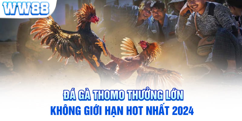 Đá Gà Thomo Thưởng Lớn Không Giới Hạn Hot Nhất 2024