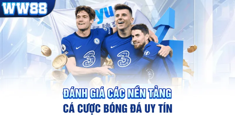 Đánh giá các nền tảng cá cược bóng đá uy tín