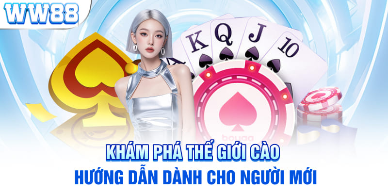 Khám phá thế giới cào: Hướng dẫn dành cho người mới