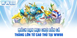 Mách Bạn Mẹo Chơi Bắn Cá Thắng Lớn Từ Cao Thủ Tại WW88