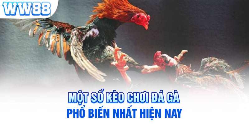 Một số kèo chơi đá gà phổ biến nhất hiện nay