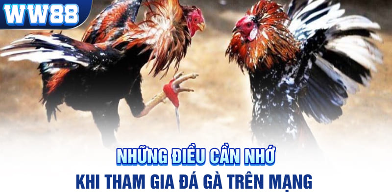 Những điều cần nhớ khi tham gia đá gà trên mạng