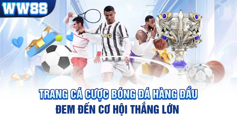 Trang Cá Cược Bóng Đá Hàng Đầu – Đem Đến Cơ Hội Thắng Lớn